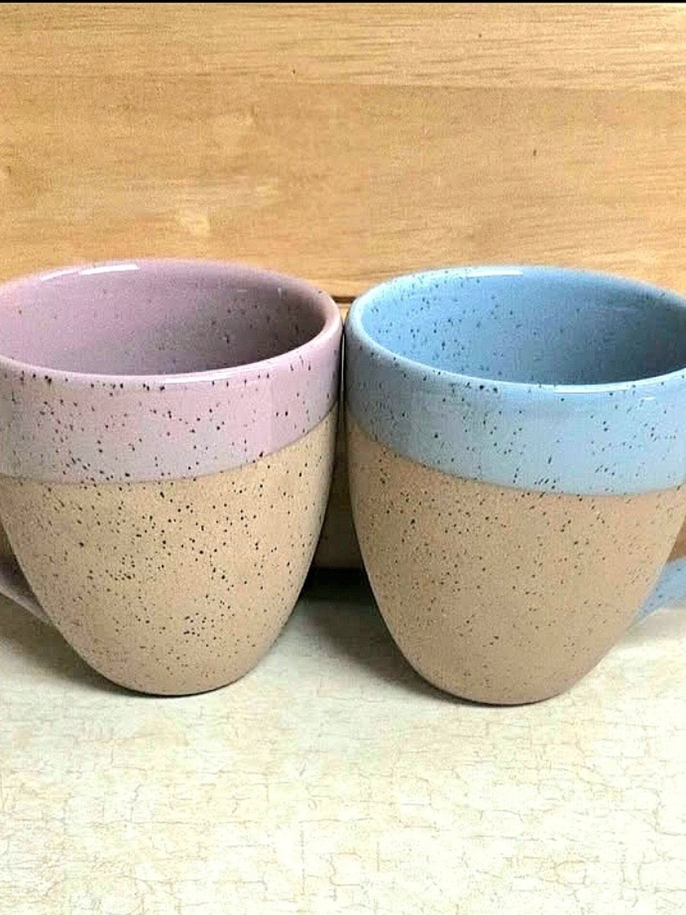 DAVIDsTEA Speckled Rough Pottery Mugs